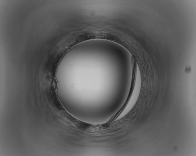 X0000092260752200709281204