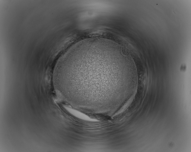 X0000092260753200709281204