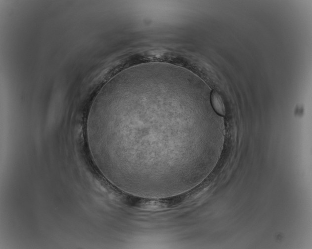 X0000092260754200709281204