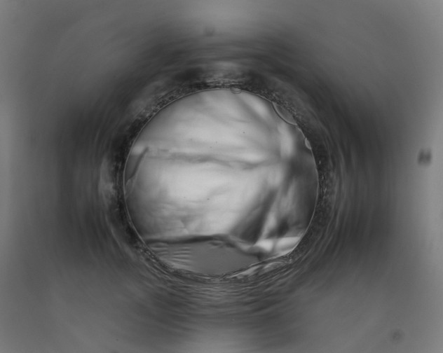 X0000092260755200709281204