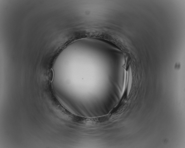 X0000092260756200709281204