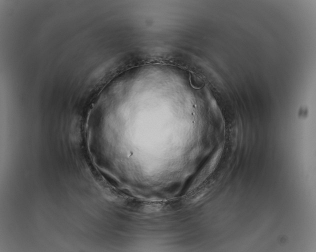 X0000092260757200709281204