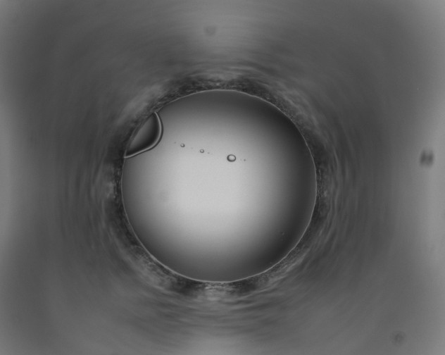 X0000092260758200709281204