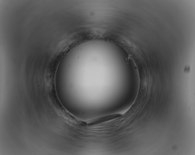 X0000092260759200709281204