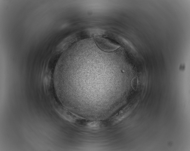 X0000092260761200709281204