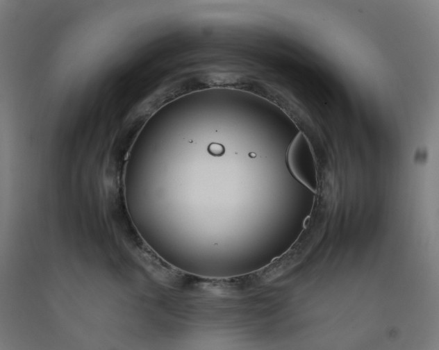 X0000092260763200709281204