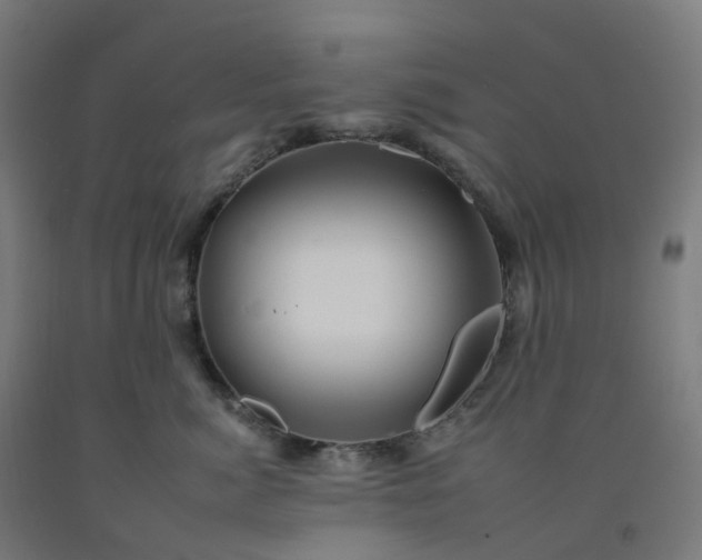 X0000092260764200709281204