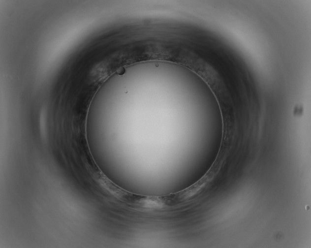 X0000092260765200709281204