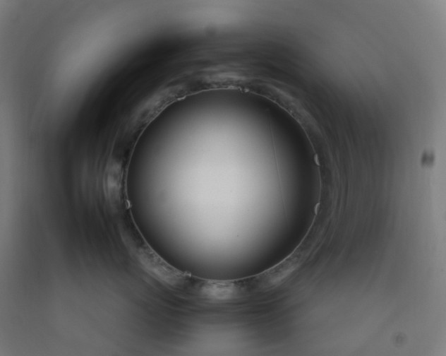 X0000092260767200709281204