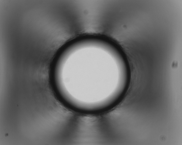 X0000092260768200709281204