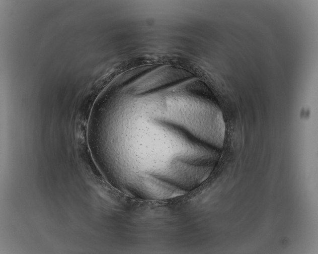 X0000092260770200709281203