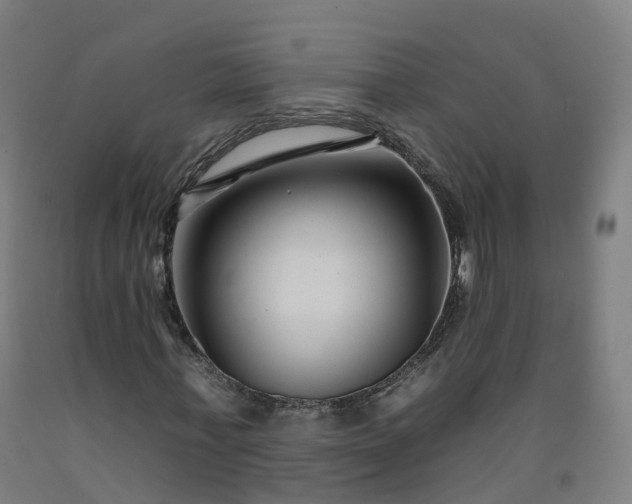 X0000092260771200709281203