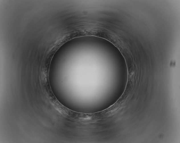 X0000092260772200709281203