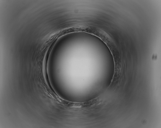 X0000092260773200709281203