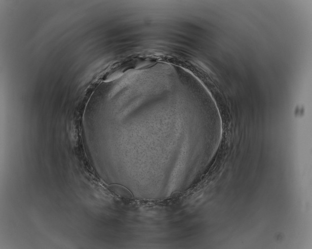 X0000092260774200709281203