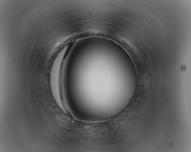 X0000092260776200709281203