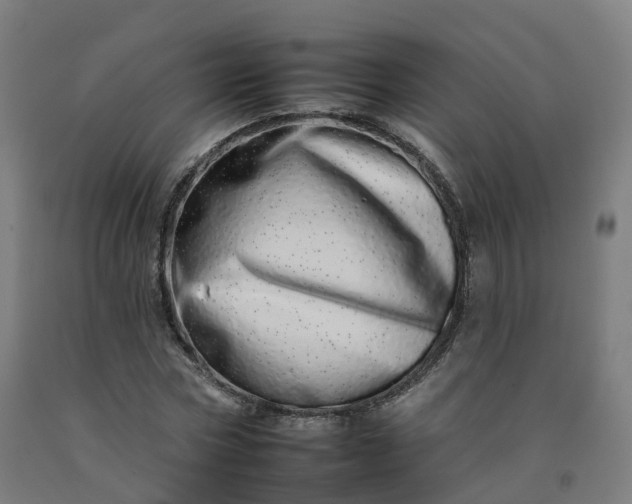 X0000092260778200709281203