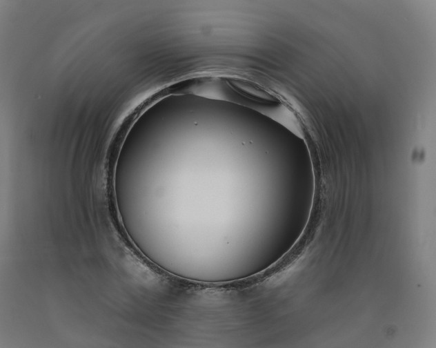 X0000092260779200709281203