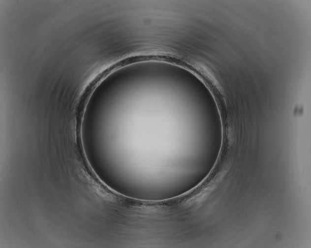 X0000092260781200709281203