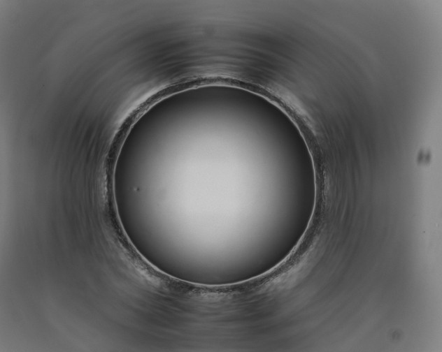 X0000092260782200709281203