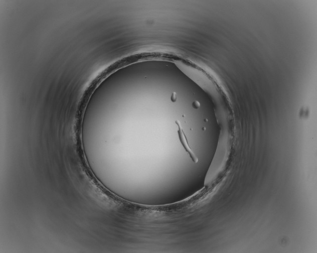 X0000092260783200709281203