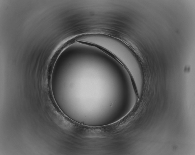 X0000092260784200709281203