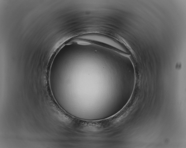 X0000092260786200709281203