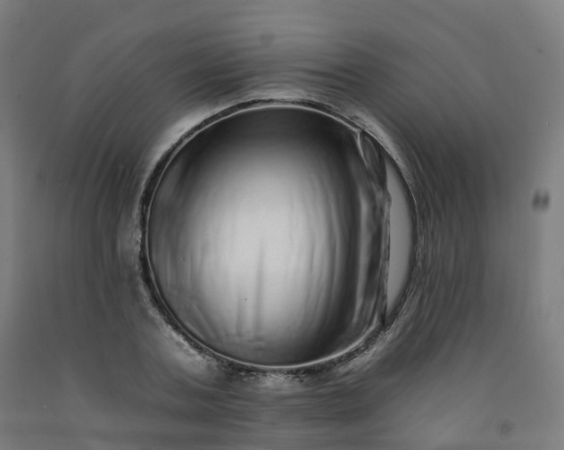 X0000092260787200709281203