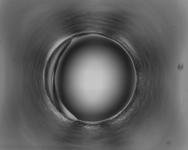 X0000092260788200709281203