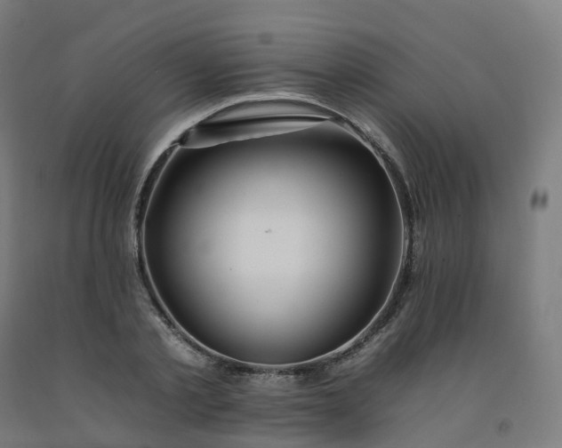 X0000092260789200709281203