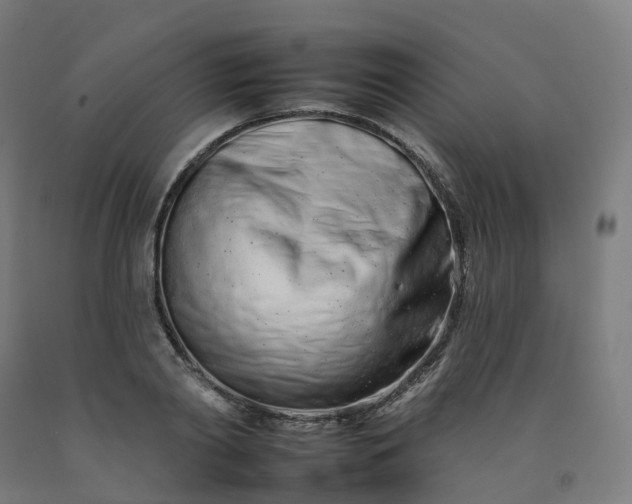 X0000092260790200709281203