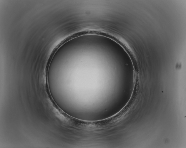 X0000092260791200709281203