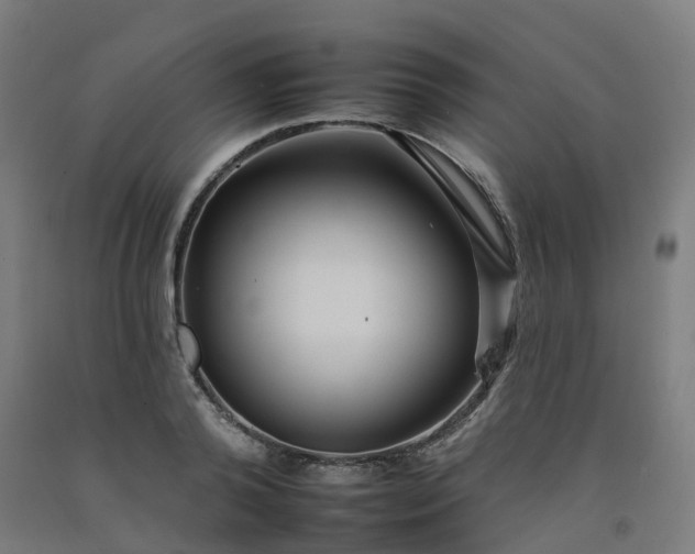 X0000092260792200709281203