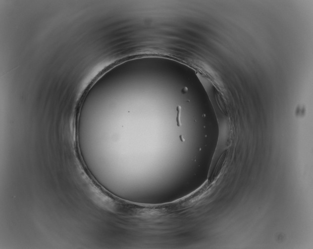 X0000092260796200709281203