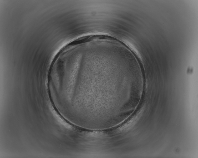 X0000092260797200709281203