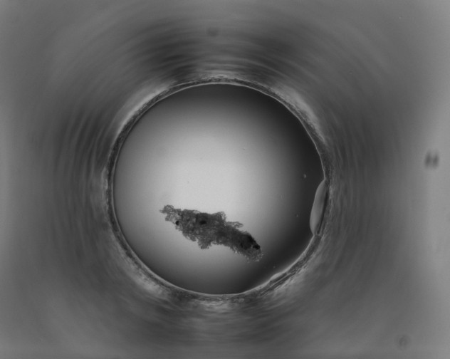 X0000092260798200709281203