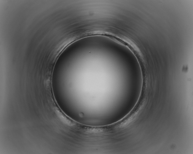 X0000092260801200709281203