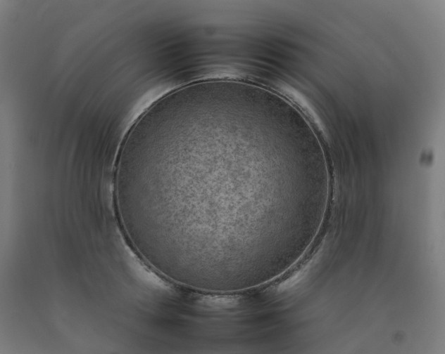 X0000092260802200709281203