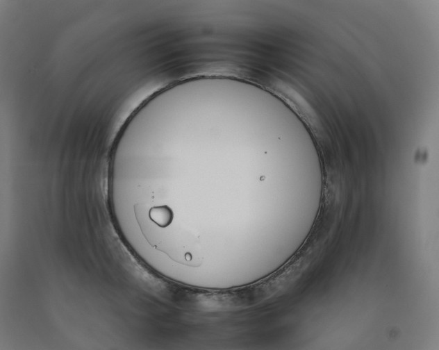 X0000092260804200709281203