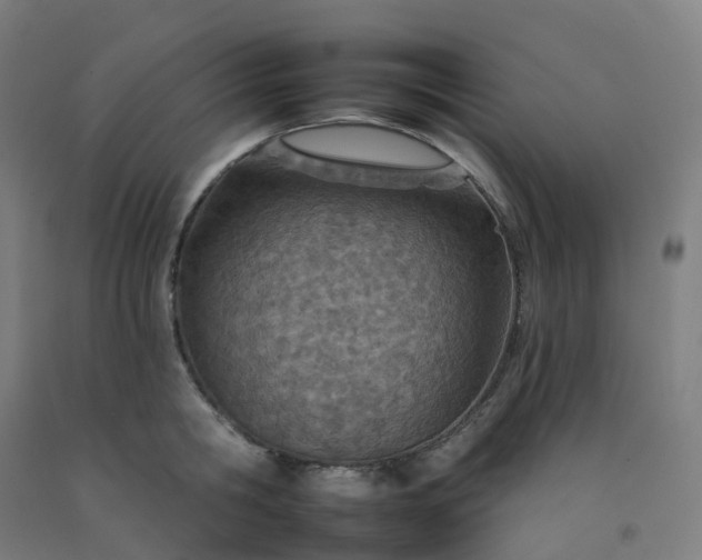 X0000092260806200709281203