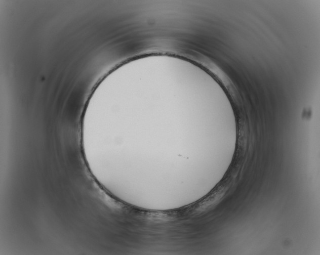 X0000092260807200709281203