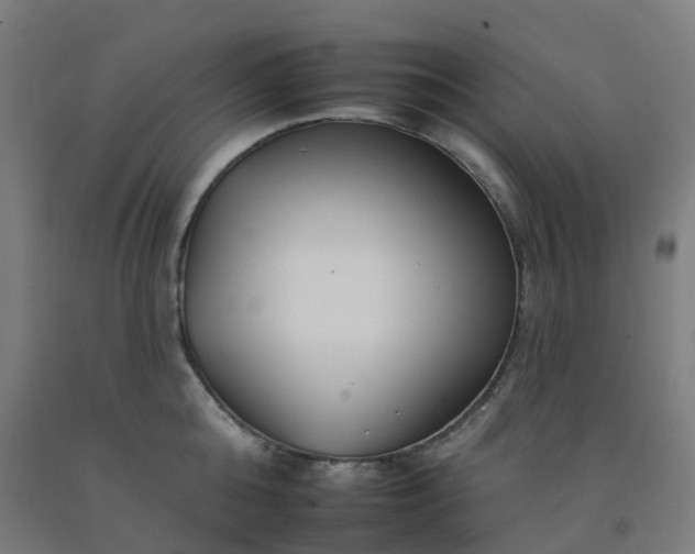 X0000092260808200709281203