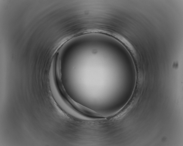 X0000092260809200709281203