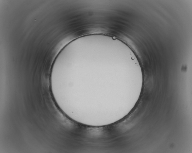 X0000092260810200709281203