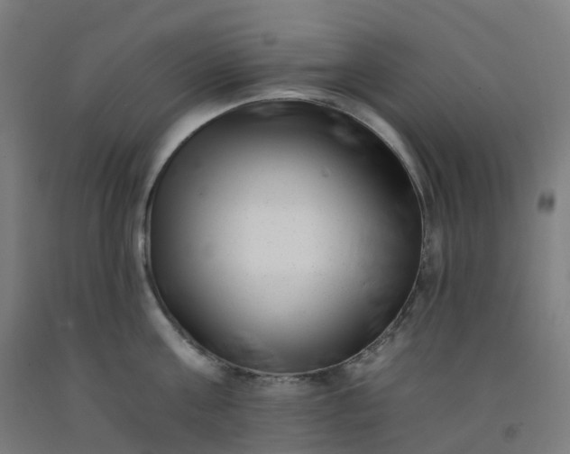 X0000092260811200709281203