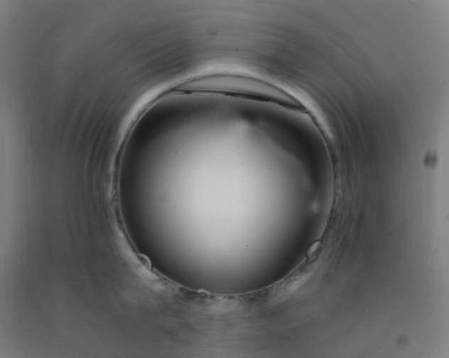 X0000092260815200709281203