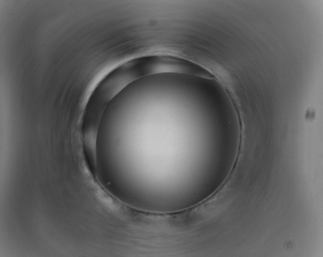 X0000092260816200709281203