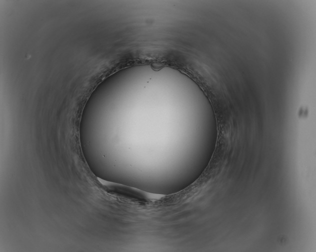 X0000092260817200709281202