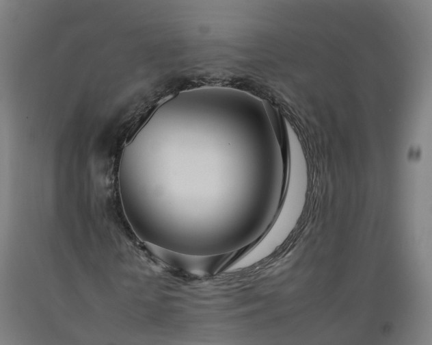 X0000092260818200709281202