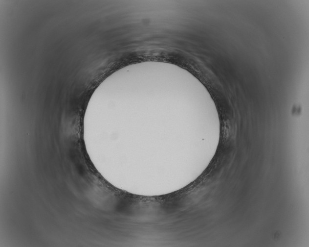 X0000092260820200709281202